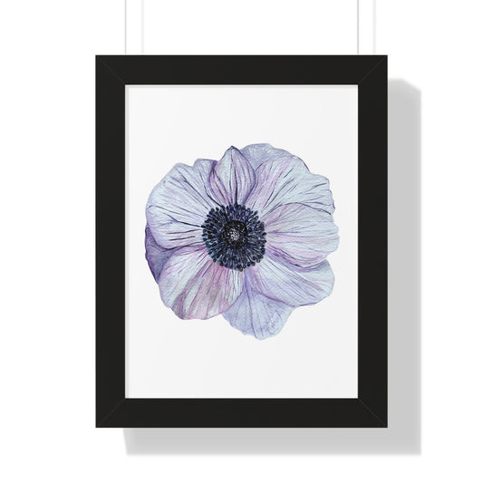 Framed Floral  Print — White Lavender Anemone Wall Art