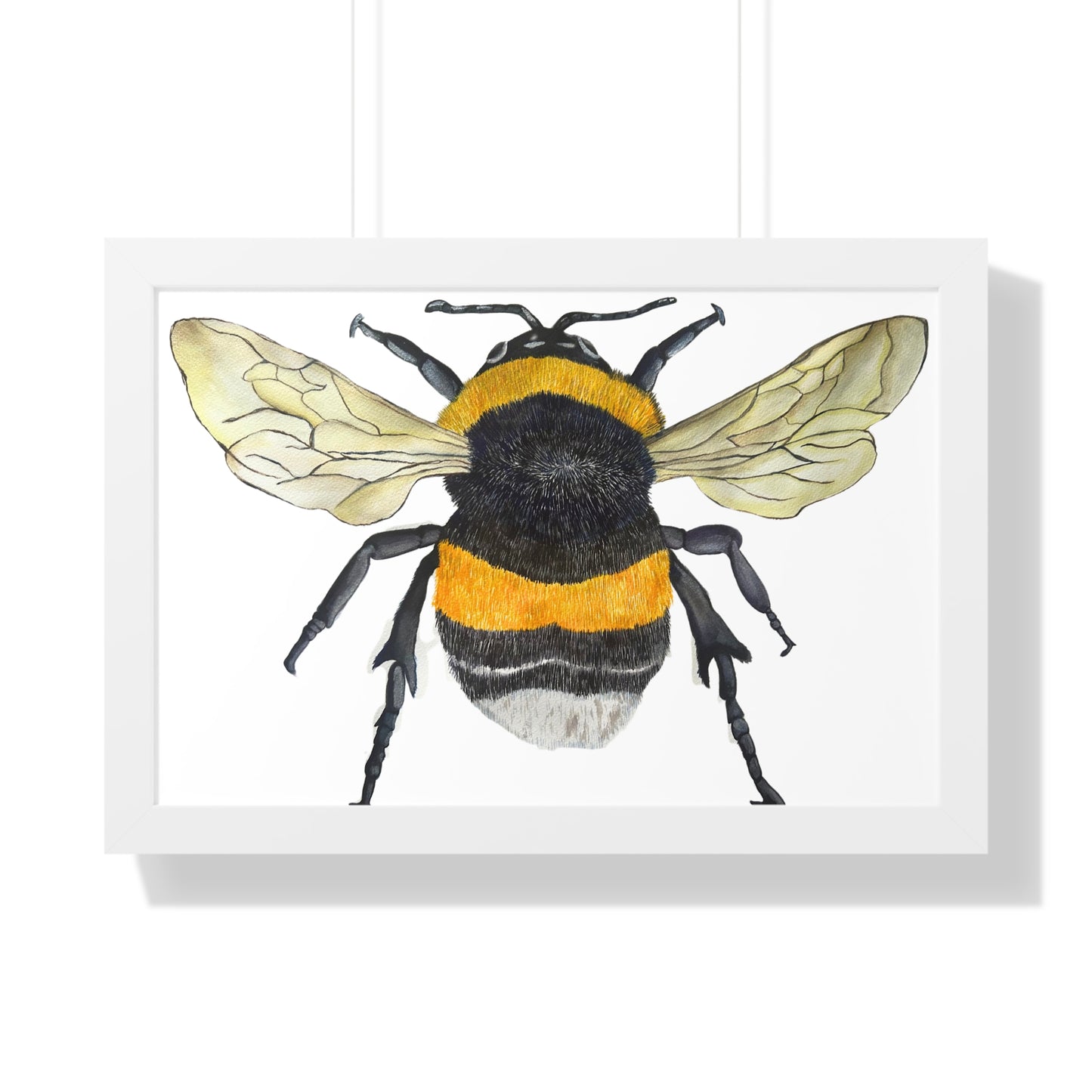 Bumblebee Wall Art — Framed Horizontal (Botanical Insect Print)