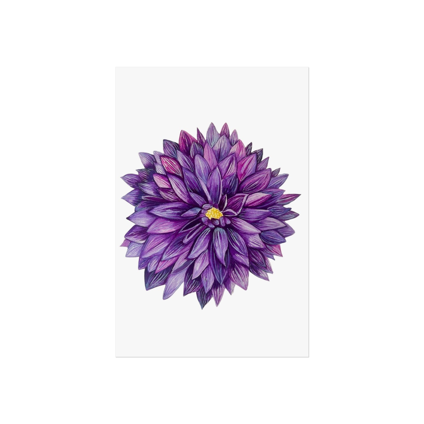 Purple Dahlia Giclée Art Print — Botanical Floral Wall Art