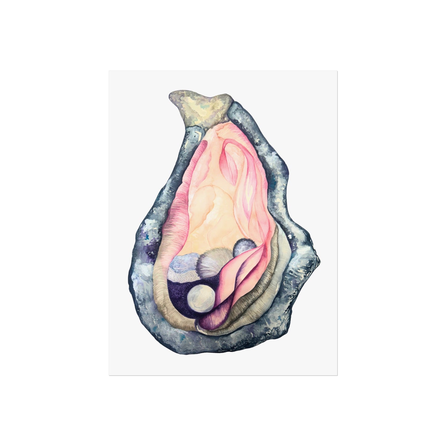 Oyster Shell Giclée Art Print — Watercolor Pearl Illustration