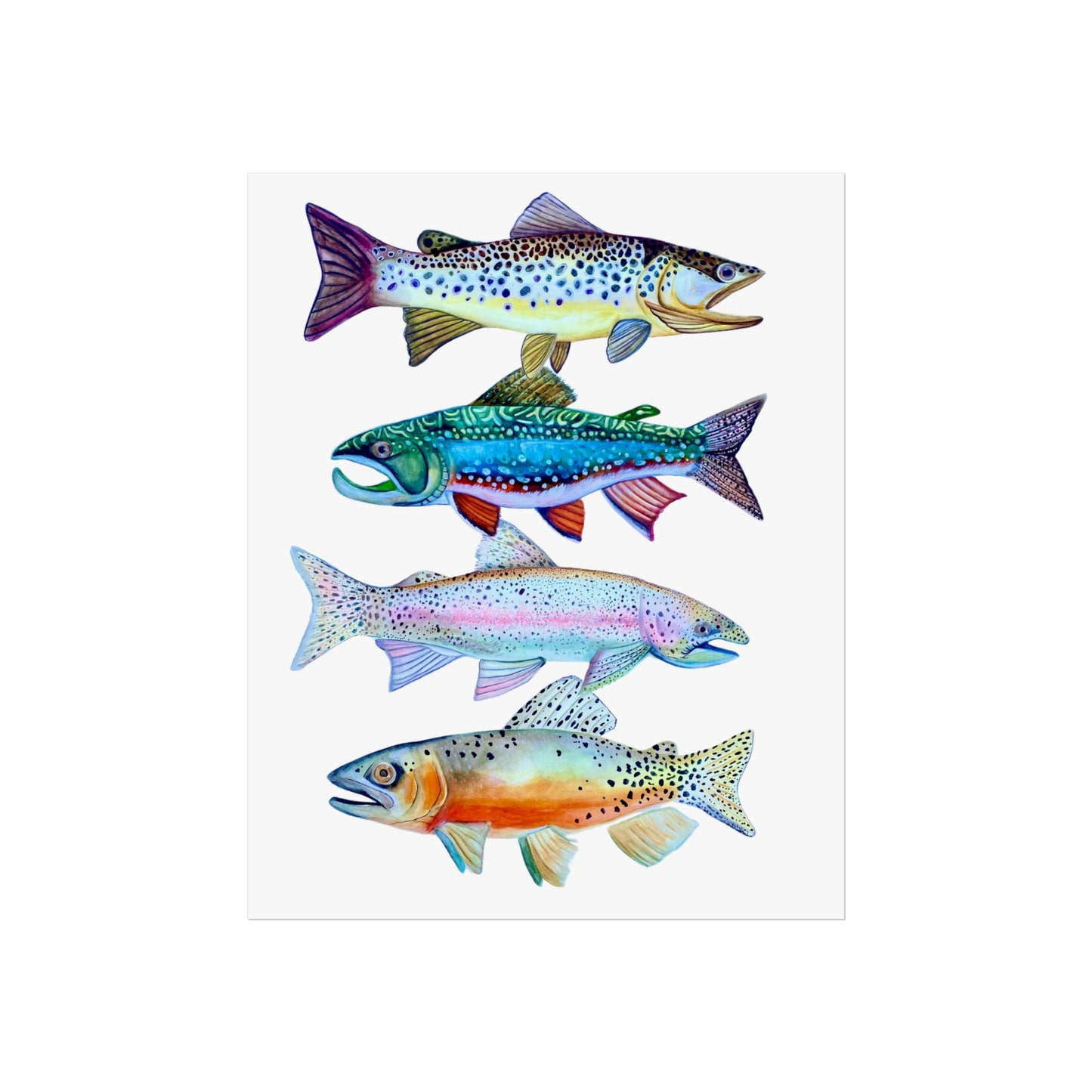 Giclée Art Print - Colorful Trout Illustration (Watercolor Fish Wall Art)