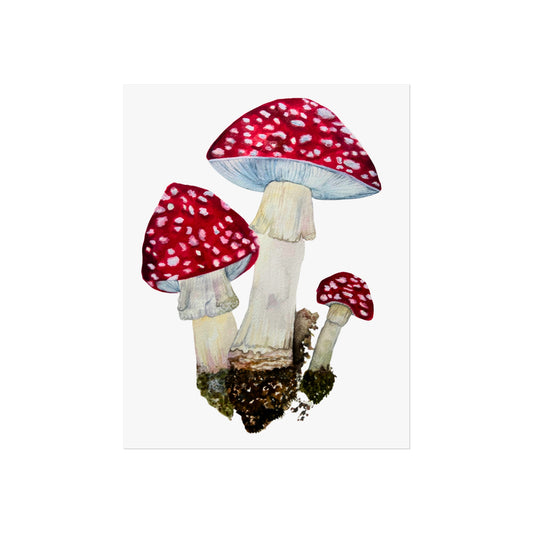 Red Fly Agaric Toadstoll Mushroom Giclée Art Print — Botanical Watercolor Wall Art