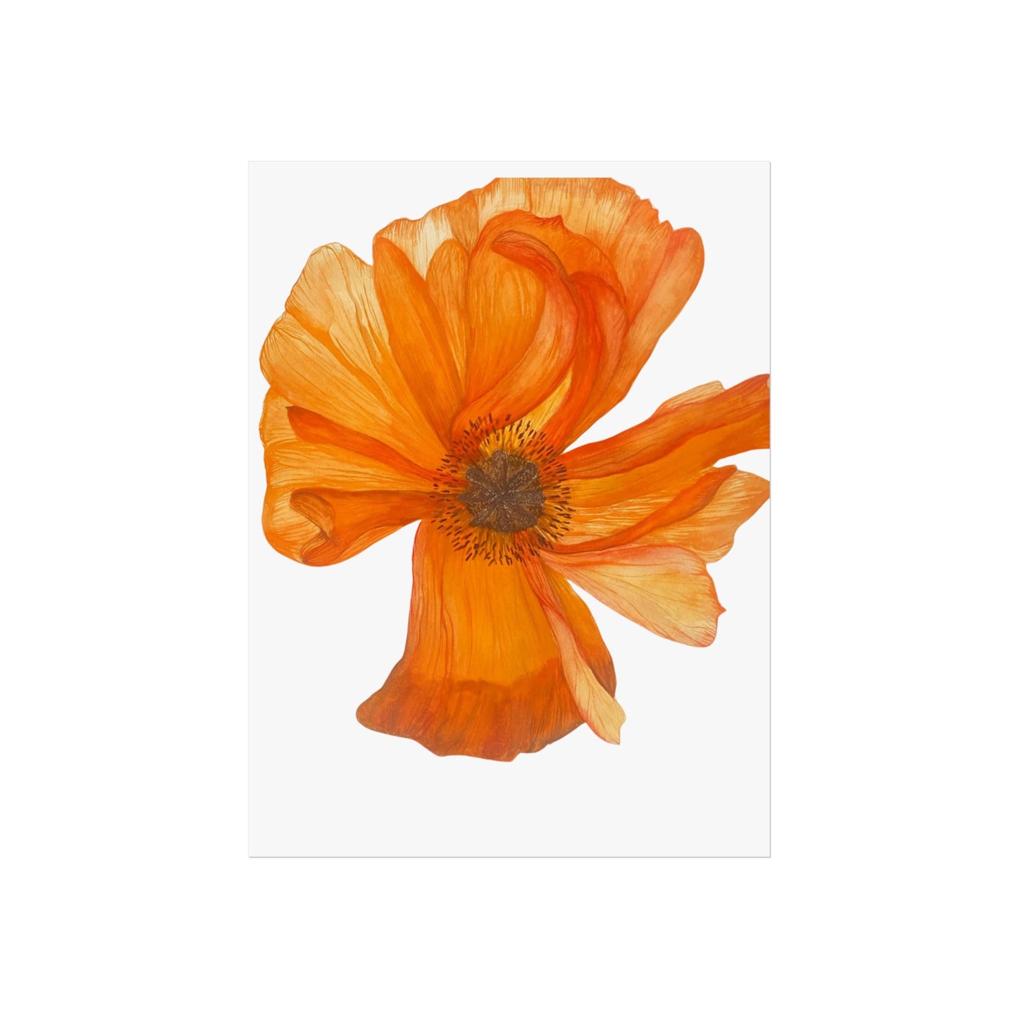 Giclée Art Print — Orange Poppy Floral Wall Art