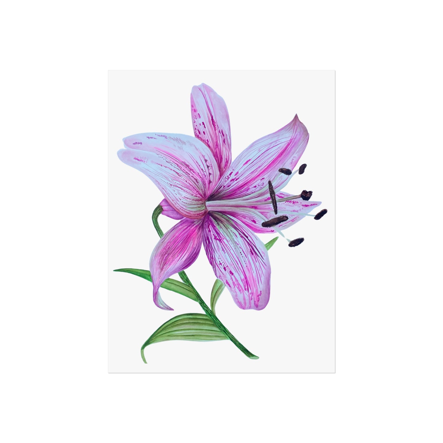 Pink Lily Giclée Art Print — Botanical Wall Art Poster