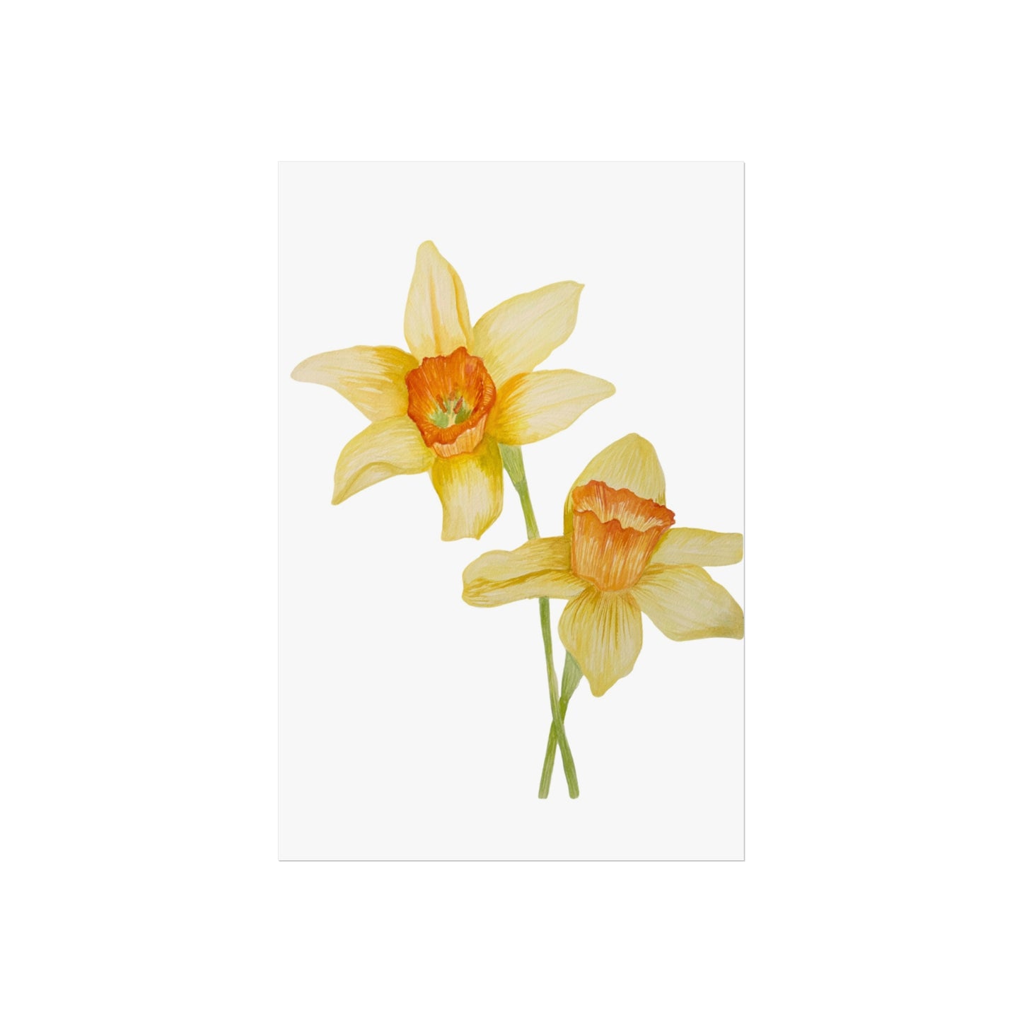 Daffodil Watercolor Giclée Art Print — Yellow Spring Floral Wall Art