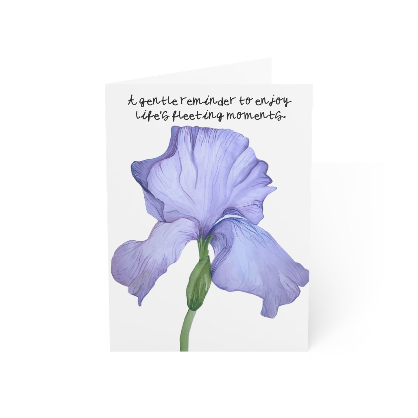 Iris Illustration Greeting Card  "A gentle reminder to enjoy life’s fleeting moments" (Blank Inside)