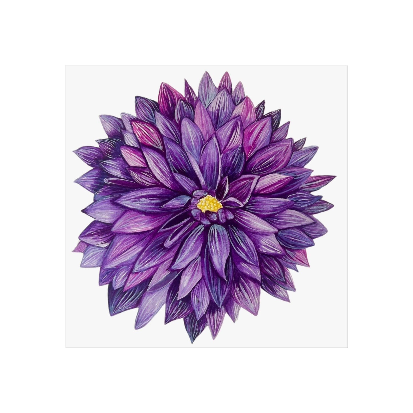 Purple Dahlia Giclée Art Print — Botanical Floral Wall Art