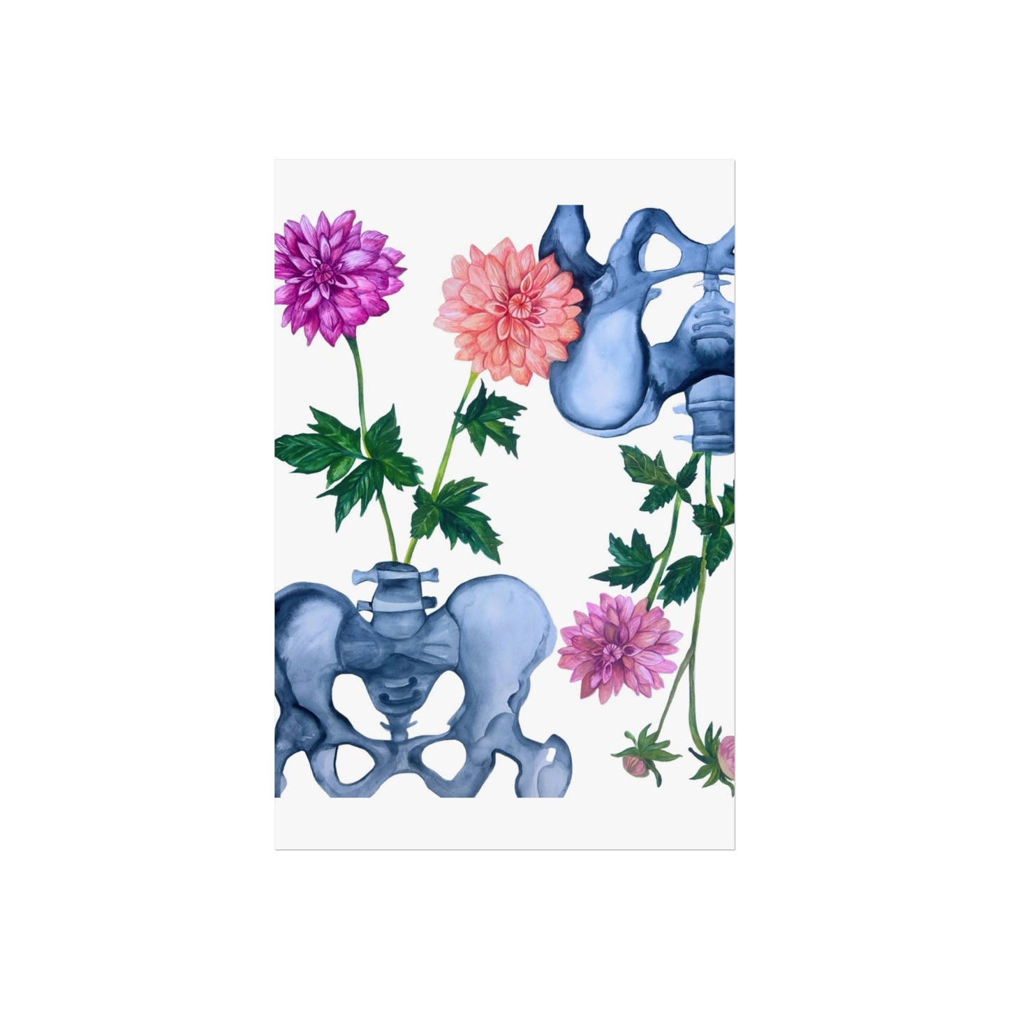 Pelvic Bone & Dahlia Giclée Art Print — Botanical Anatomical Wall Art