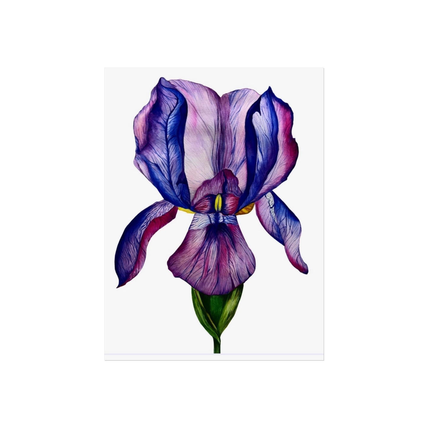 Iris Giclée Art Print — Purple Watercolor Botanical Wall Art