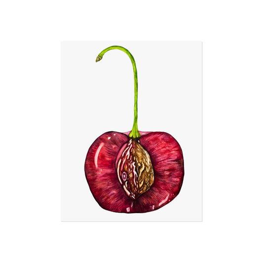 Giclée Art Print — Botanical Cherry Pit Watercolor Print