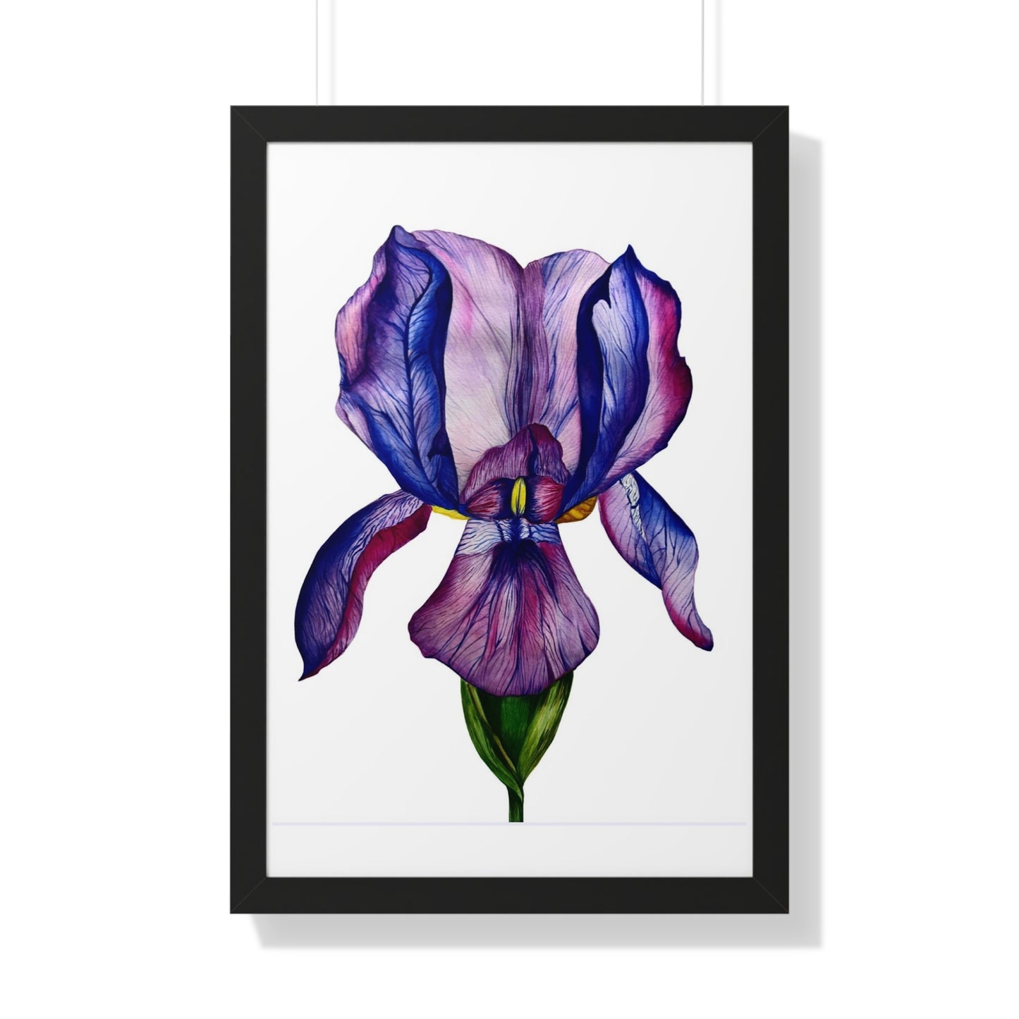 Framed — Purple Iris Botanical Art Print