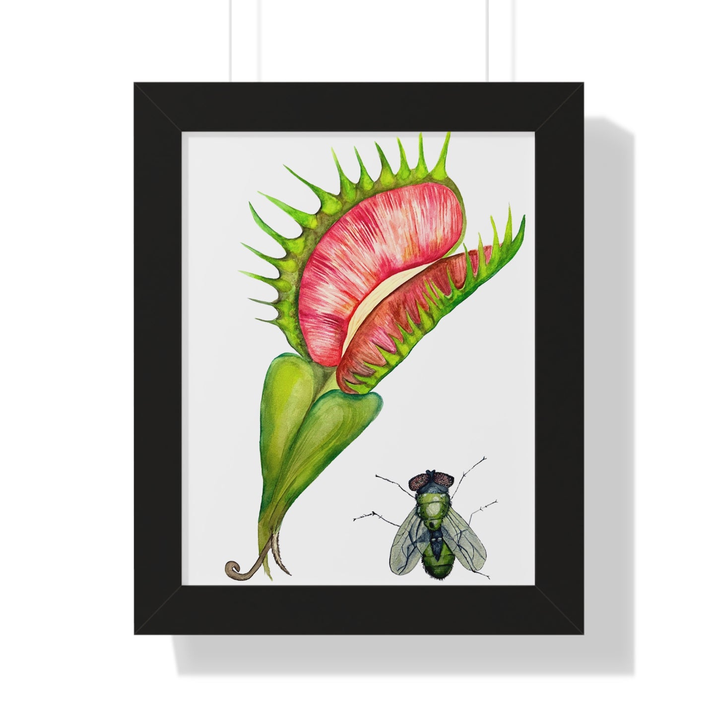 Carnivorous Plant Art Print — Venus Flytrap & Fly Framed