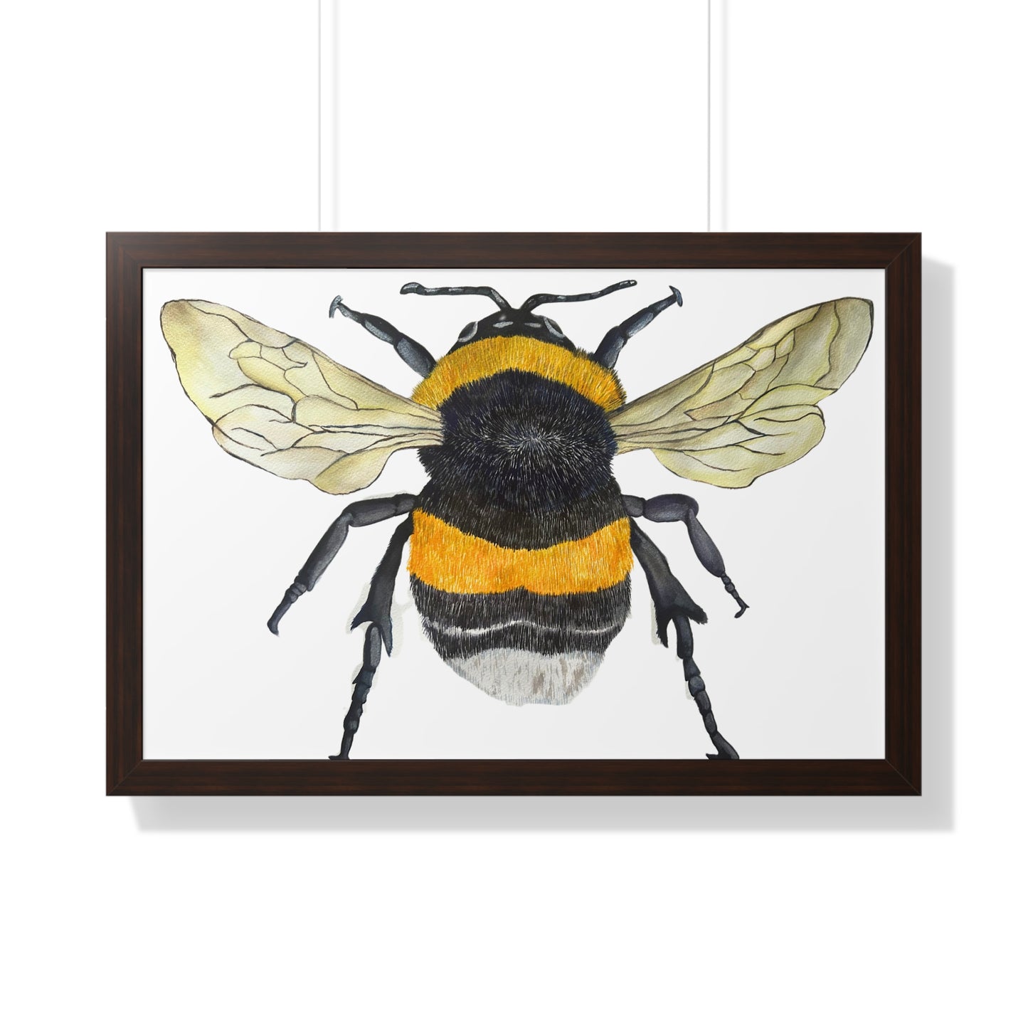 Bumblebee Wall Art — Framed Horizontal (Botanical Insect Print)