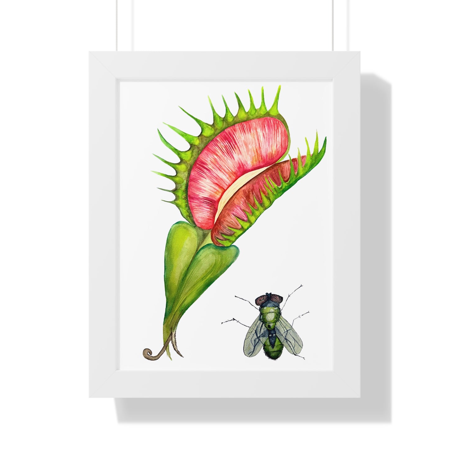 Carnivorous Plant Art Print — Venus Flytrap & Fly Framed