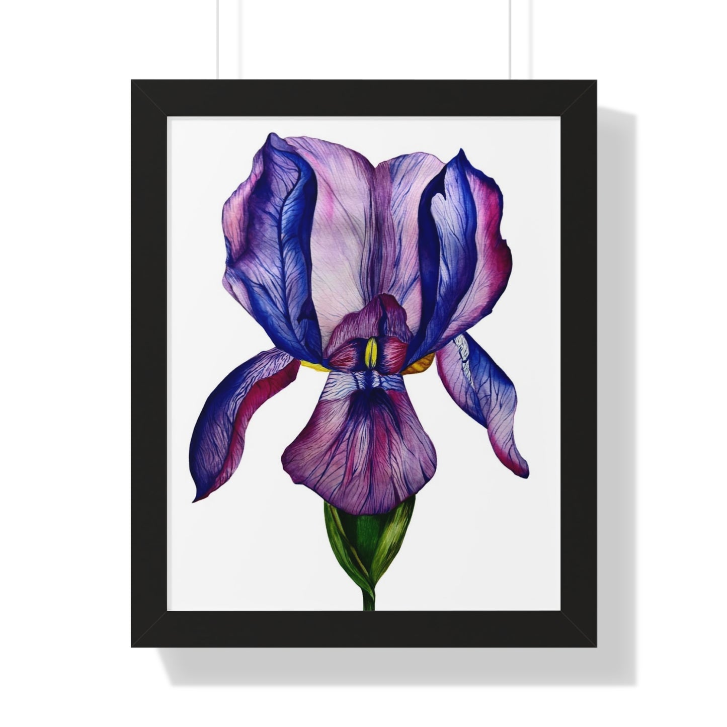 Framed — Purple Iris Botanical Art Print