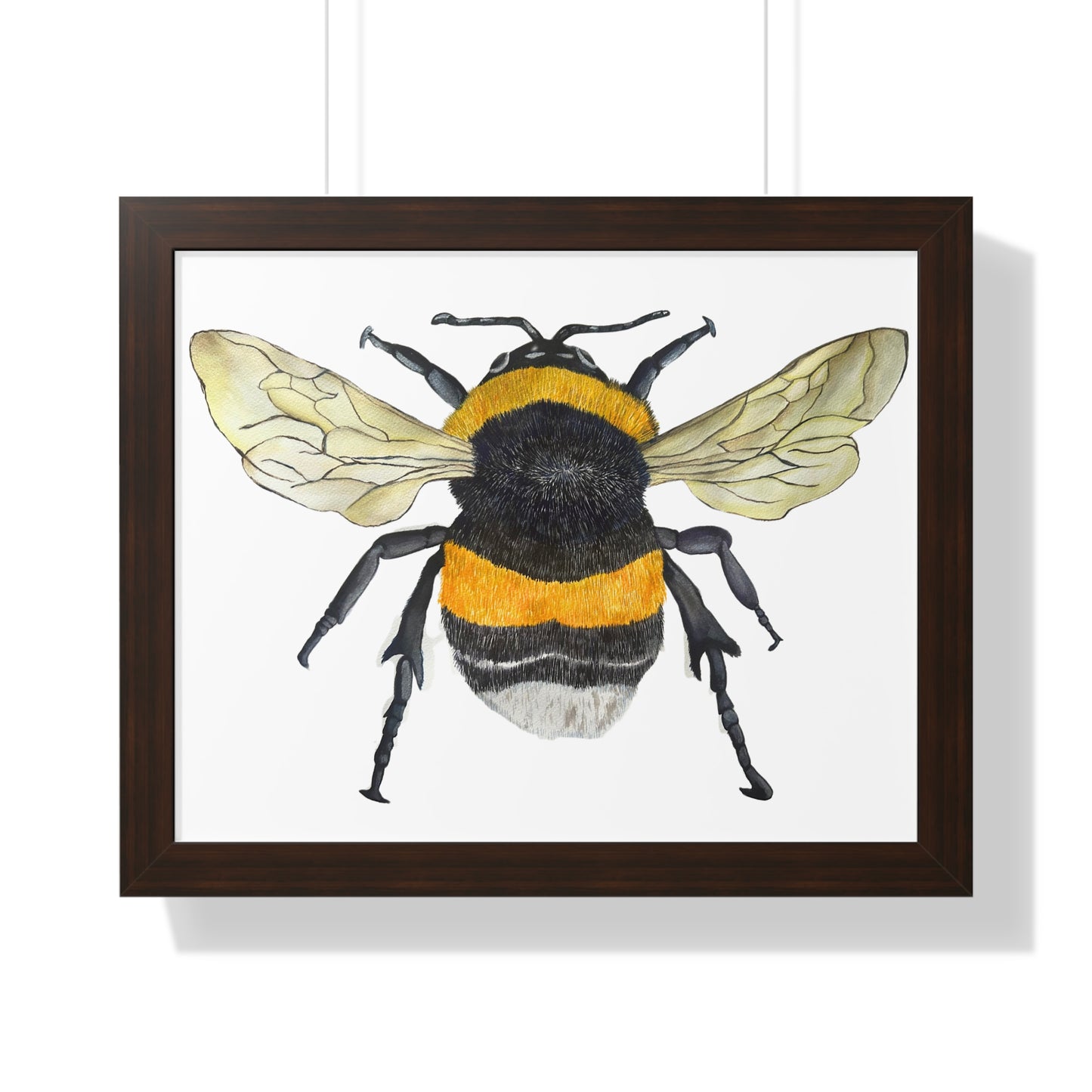 Bumblebee Wall Art — Framed Horizontal (Botanical Insect Print)