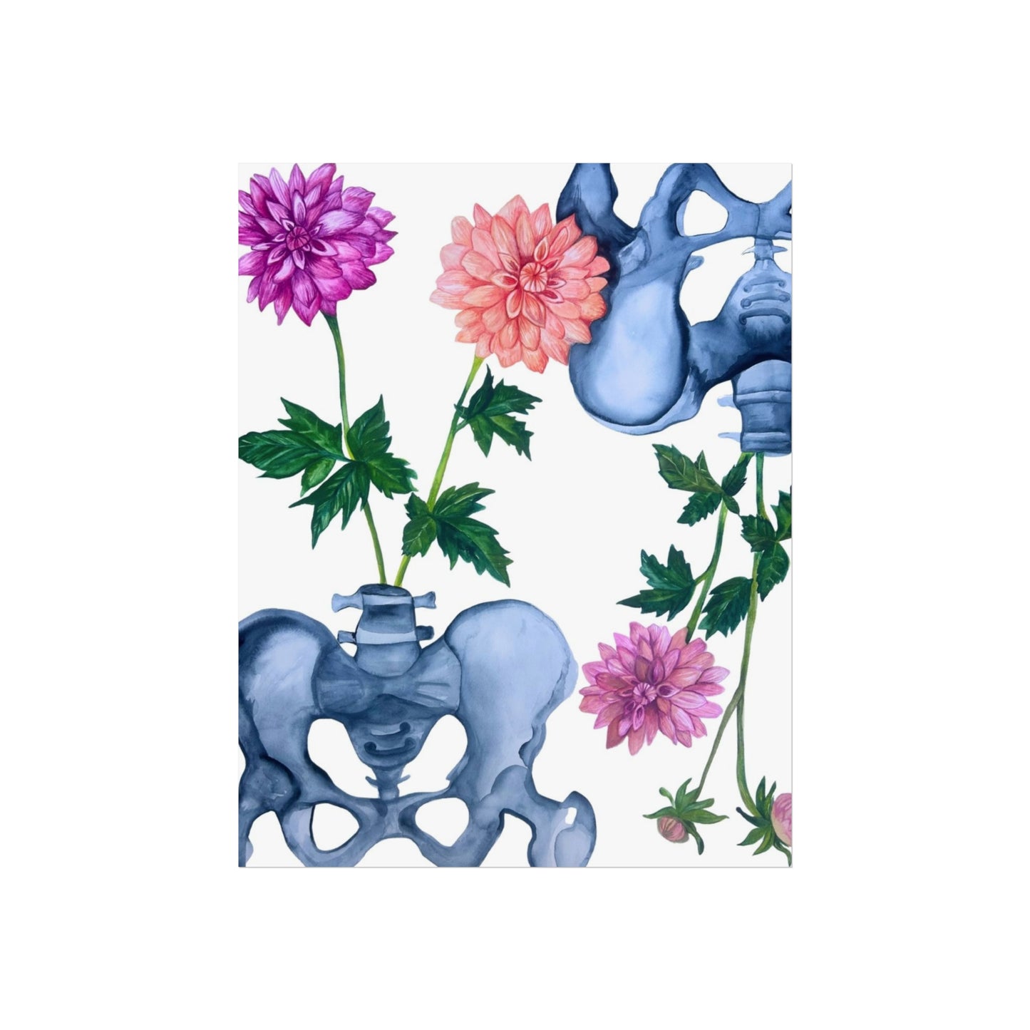 Pelvic Bone & Dahlia Giclée Art Print — Botanical Anatomical Wall Art