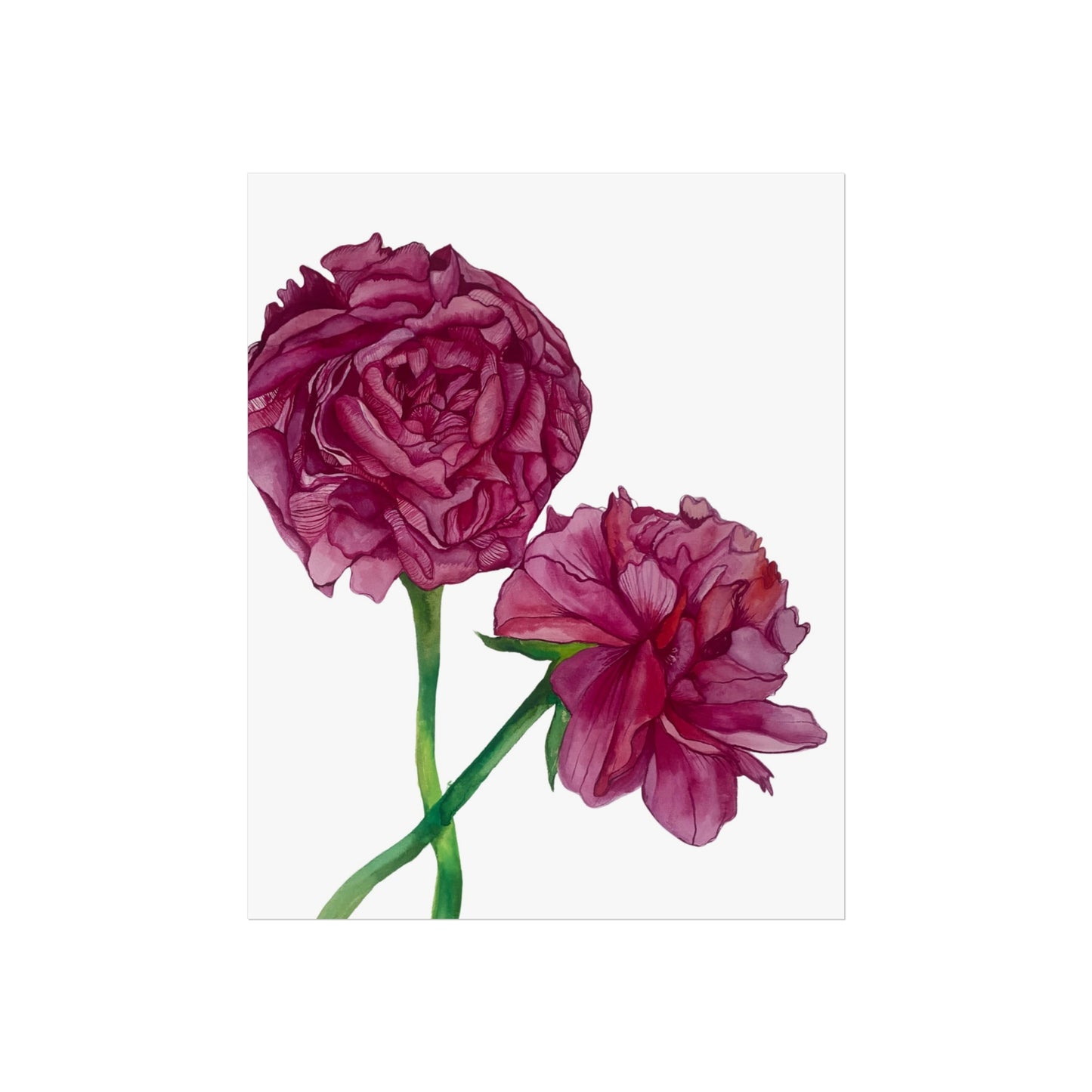 Peony Watercolor Giclée Art Print — Botanical Wall Art, Pink Floral Illustration