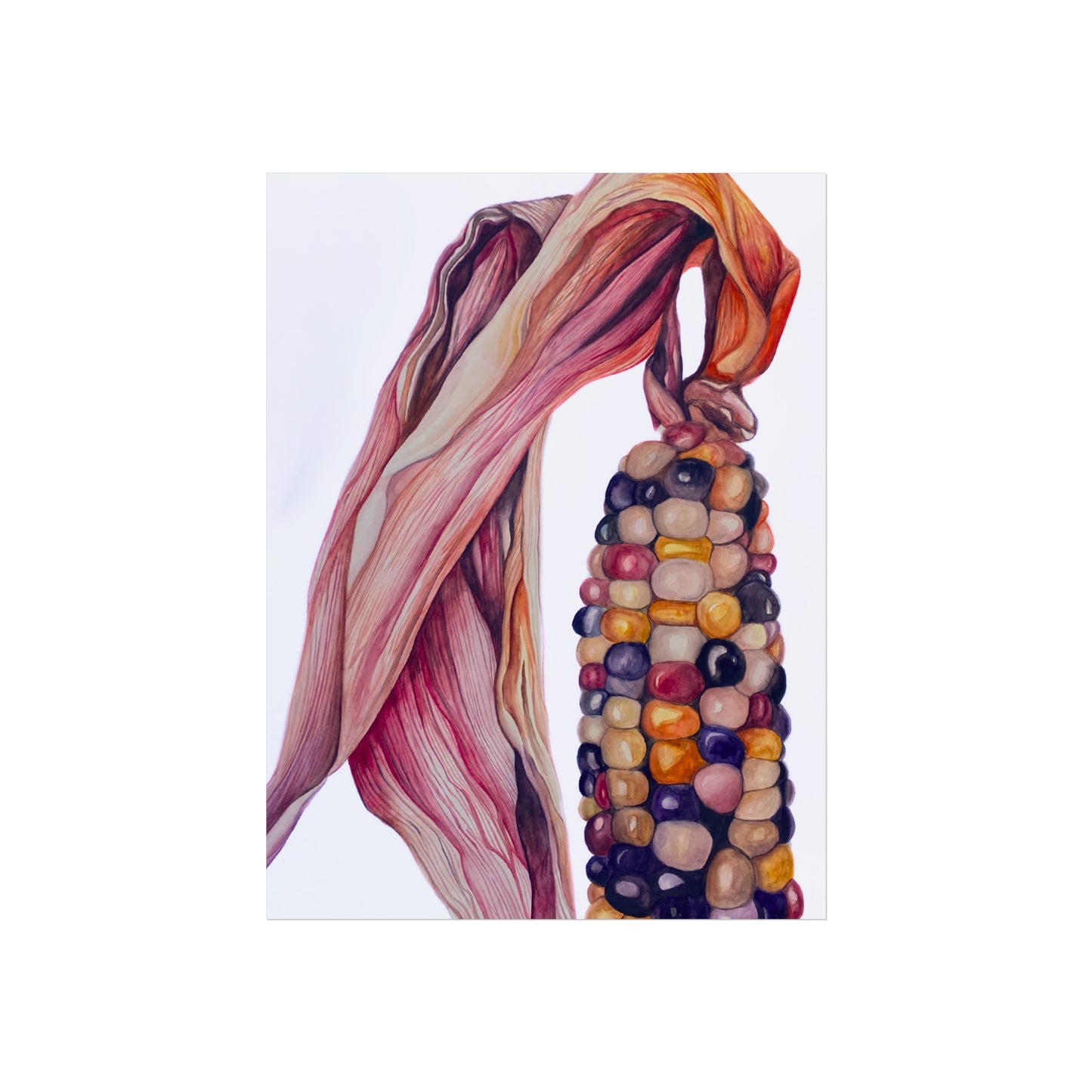 Indian Corn Giclée Art Print — Colorful Autumn Maize Wall Art
