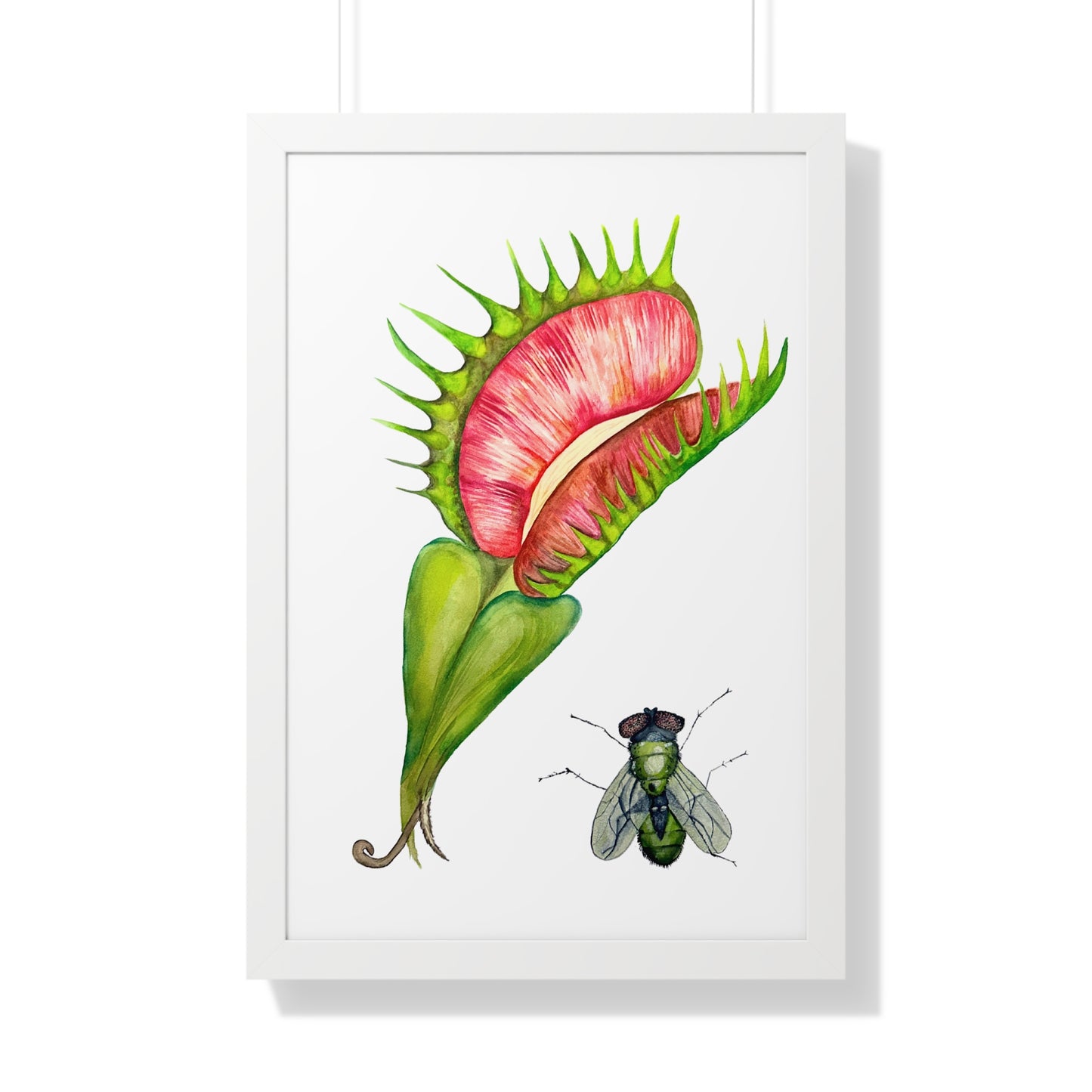 Carnivorous Plant Art Print — Venus Flytrap & Fly Framed