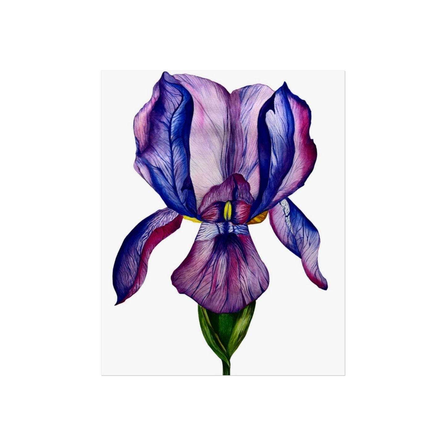 Iris Giclée Art Print — Purple Watercolor Botanical Wall Art